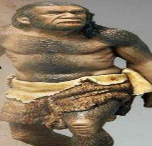 homo neanderthalensis