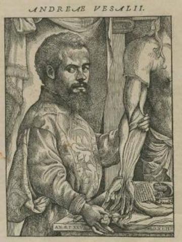 Andres Vesalio
