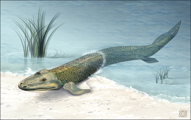 Devonian Period