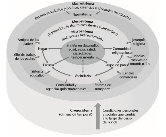 Sistemas contextuales interconectados, Bronfenbrenner