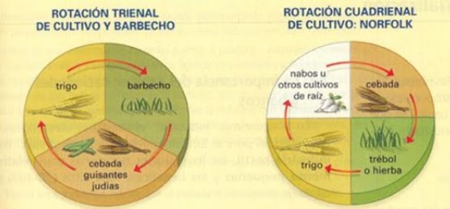 Aparición sistema Norfolk