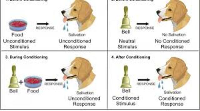 TEORÍAS CONDUCTUALES DEL APRENDIZAJE