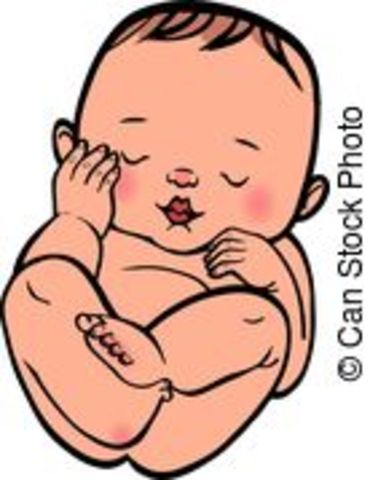 Nascimento do meu primeiro filho