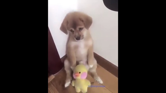 Reprobe con Daniel Aguayo