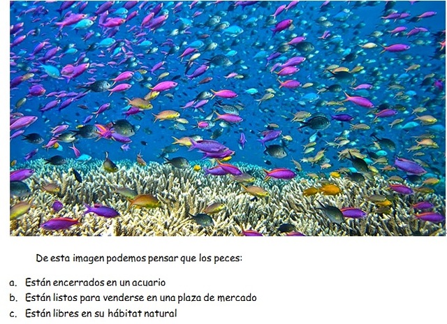 PROYECCIÓN VIDEO COMPRENSIÓN LECTORA PARTE 1 Y 2