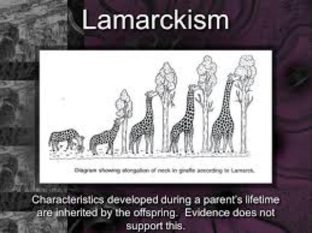 Lamarck develops Hypothesis of evolution by means of acquired characteristics