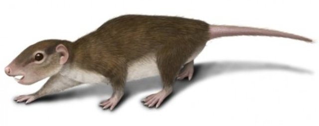 APARICIÓN DE LOS MAMÍFEROS