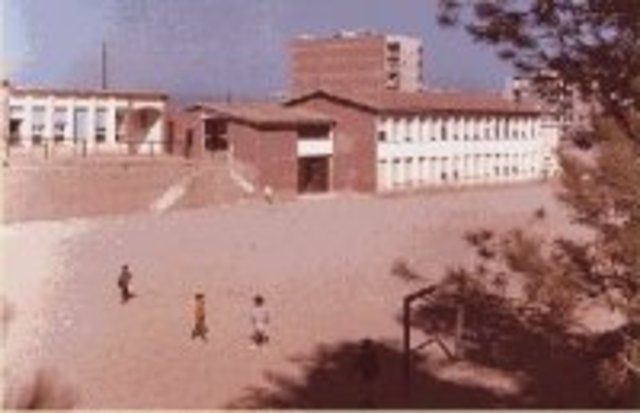 Llei Orgànica de Participació, Avaluació i Govern dels Centres Docents (LOPEG). PSOE.