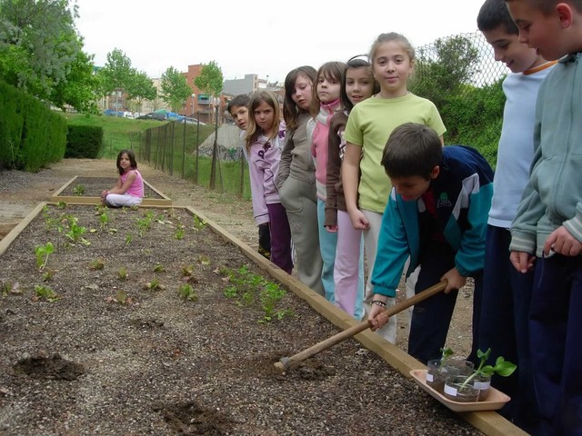 Llei Orgànica de l'Educació (LOE). PSOE.