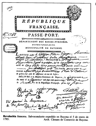 CONSTITUCIÓN DEMOCRÁTICA