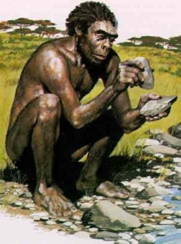 HOMO HABILIS