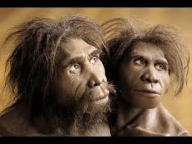 HOMO ERECTUS