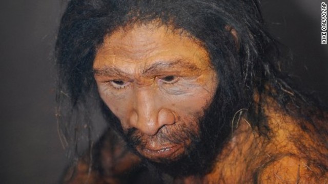 Homo Erectus