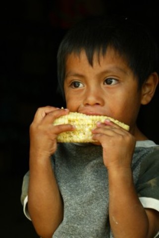 Tasa de desnutrición- Mexico