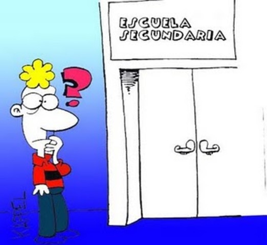 1991 ¿Obligatoriedad?