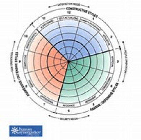 Leadership Styles Inventory (LSI) for EMT