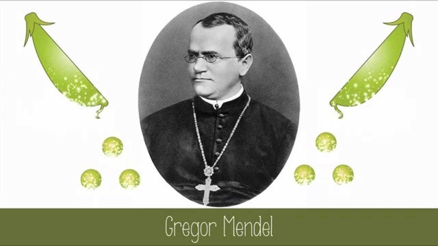 Gregor Mendel