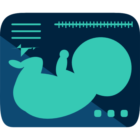 let's start off with the ultrasound apparatus!