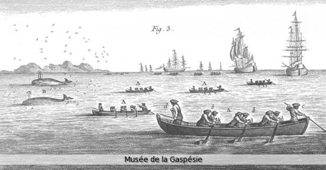 Les pêcheries