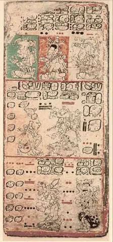 Maya codices