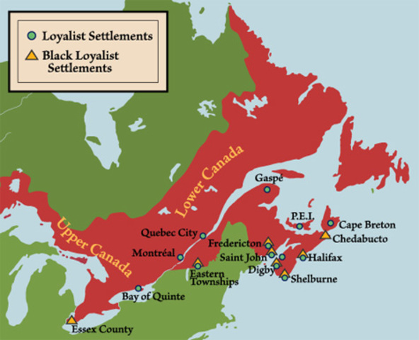 The Constitutional Act