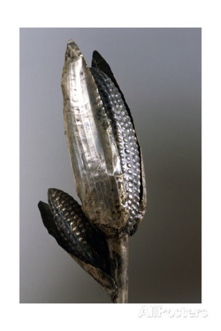 Silver Representation of aMaize Plant