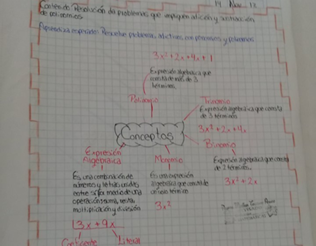 ORGANIZADOR GRÁFICO