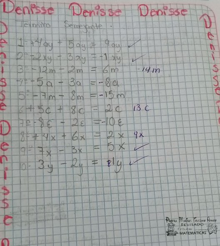 TÉRMINOS SEMEJANTES