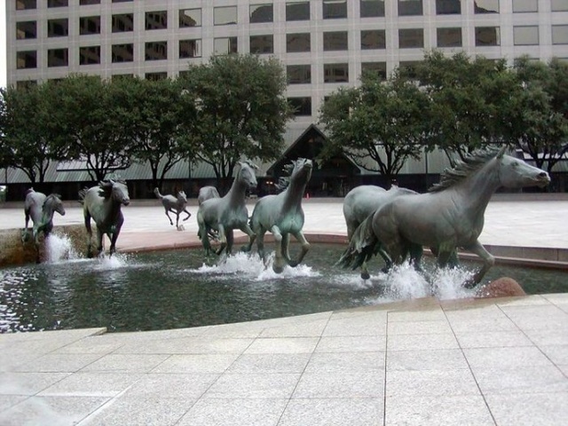 Mustangs de Las Colinas, Estados Unidos.