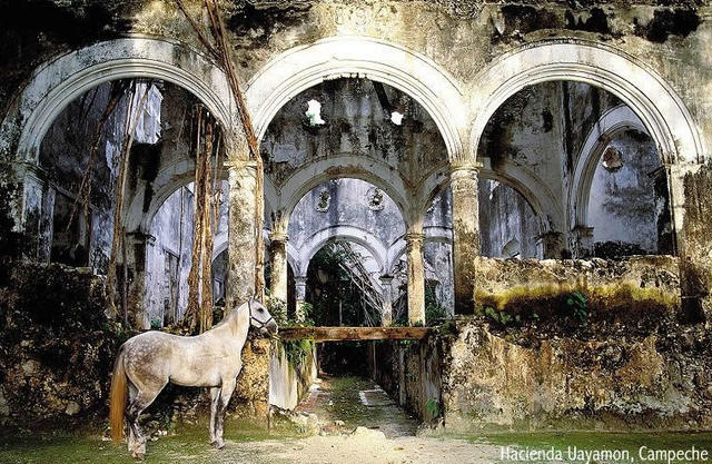 The Grouth of Haciendas and the Rural Conflict