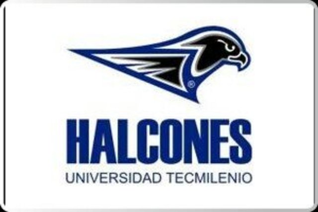 Representativo de Basquetbol