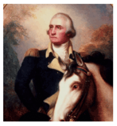 George Washington's Role