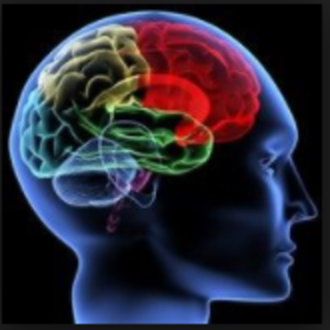 Métodos psicofisicos