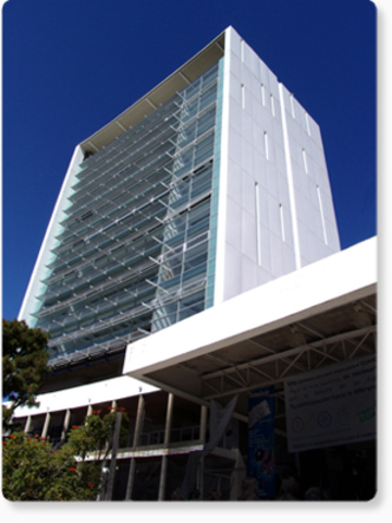 Nuevo Plan De Estudios Para DIN en U de G.