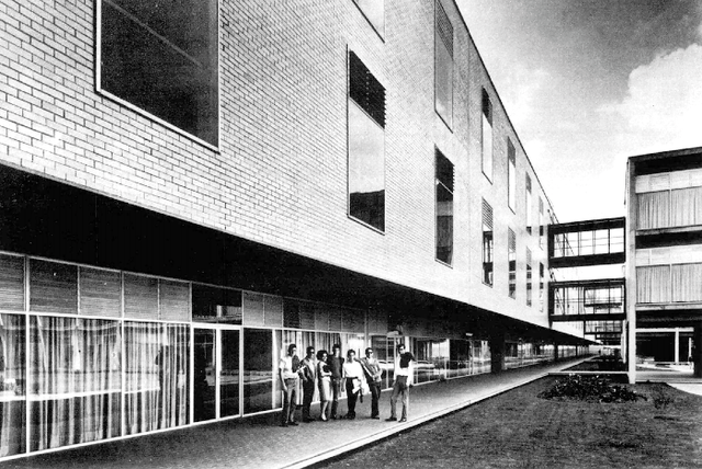 Carácter profesional en la carrera de DI