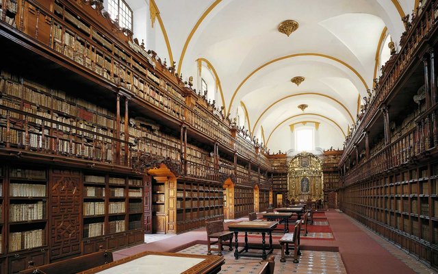 Mexican Library