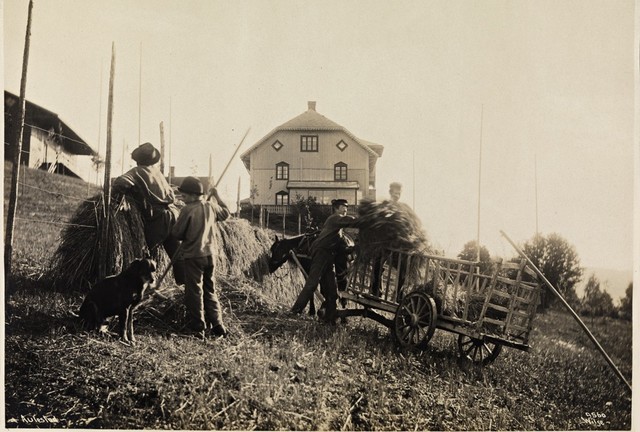 Bøndene i flertall på Stortinget