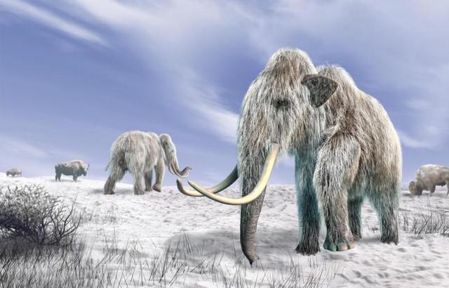 Inicio de la Era Cenozoica: Paleoceno