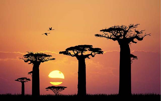 Tercera generación de la evaluación (1957-1972) realismo