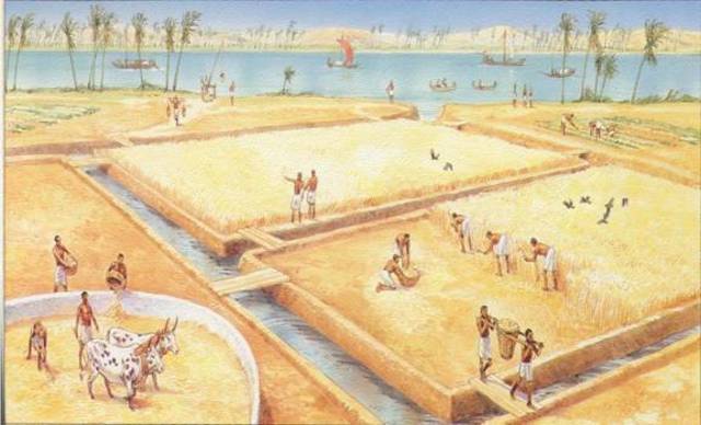 Een landbouwstedelijke samenleving in Egypte