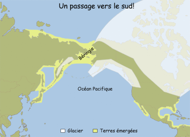 La migration des premiers occupants par la Béringie vers l'Amérique