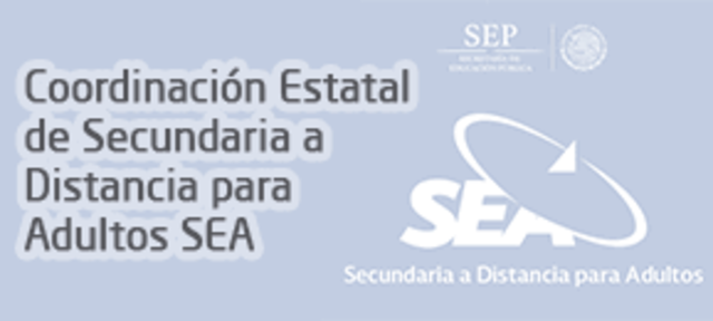 Secundaria a Distancia para Adultos