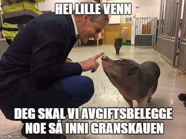 Arbeiderpartiet stiftet