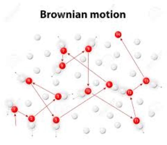 The Brownian motion