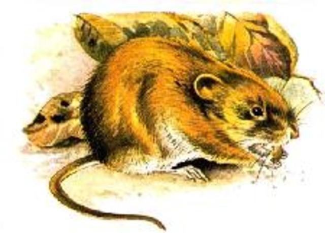 Google drive ühisdokumndi loomine ja jagamine