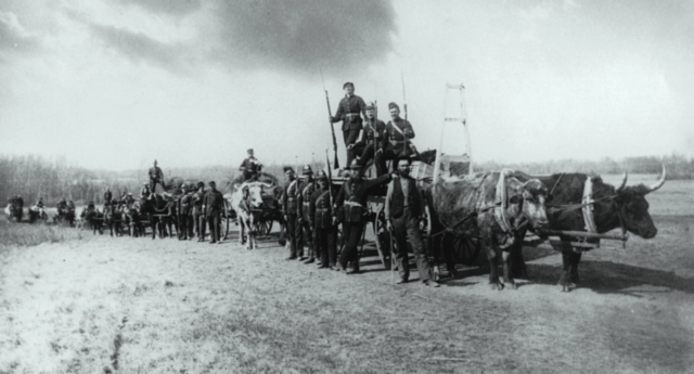 The Northwest rebellions