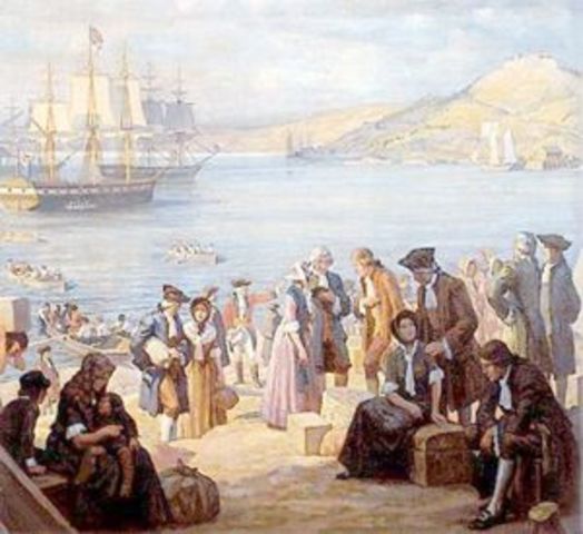 Effects of the Loyalists.