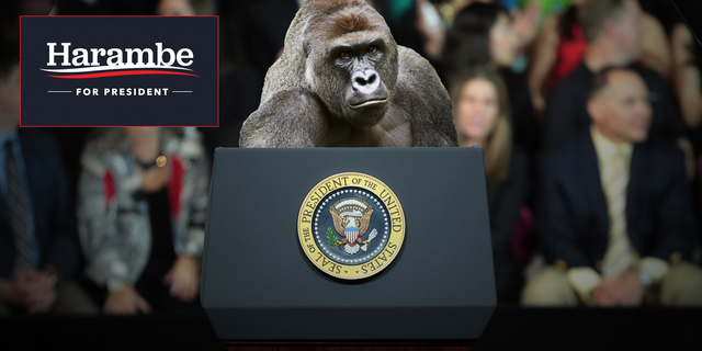 Presidential Election