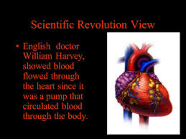 William Harvey showed that the heart acted as a pump to circulate blood throughout the body