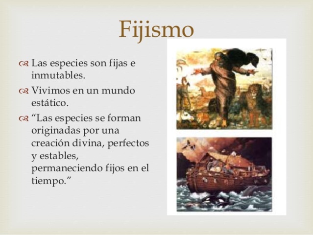 Fijismo - Carlos Lineo Mediados del siglo XVIII